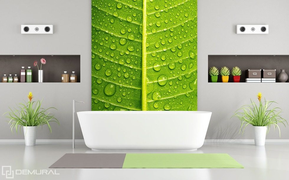 Zelené, intimní sblížení Fototapety do koupelny Fototapety Demural