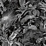 Elegantní černobílá botanická kompozice