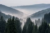 Mlžný lesní horizont ve vrstvách kopců