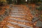 Podzimní schodiště v přírodním parku