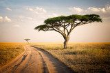 Tajemství africké savany