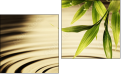 Diptych
