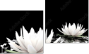Diptych