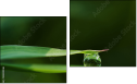Diptych