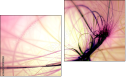 Diptych