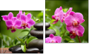 Diptych