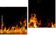 Diptych
