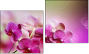 Diptych
