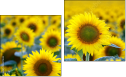 Diptych