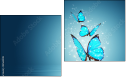 Diptych