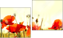 Diptych