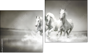 Diptych