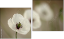 Diptych