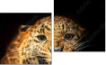 Diptych