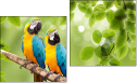 Diptych