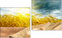 Diptych