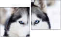 Diptych