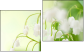 Diptych
