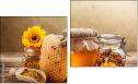 Diptych