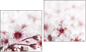 Diptych