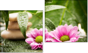 Diptych