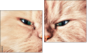 Diptych