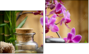 Diptych
