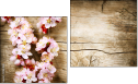 Diptych
