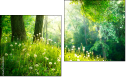 Diptych