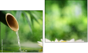 Diptych