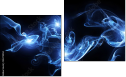 Diptych