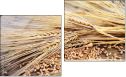 Diptych