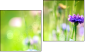 Diptych