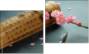 Diptych