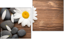 Diptych