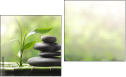 Diptych