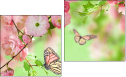 Diptych