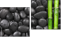 Diptych