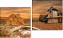 Diptych