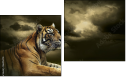 Diptych