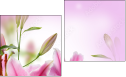 Diptych