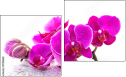 Diptych