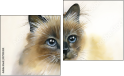 Diptych