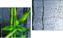 Diptych