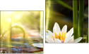 Diptych