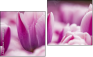 Diptych