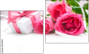 Diptych