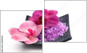 Diptych
