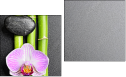 Diptych