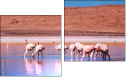 Diptych